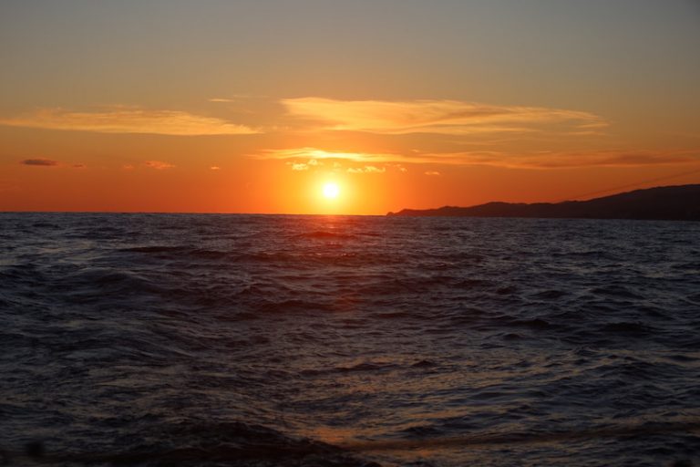 Cenizas al mar Barcelona