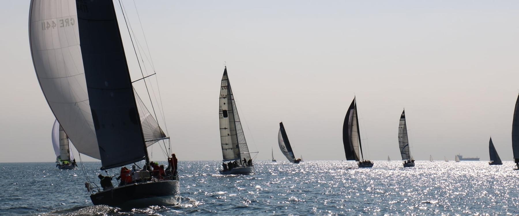 regata profesional velero